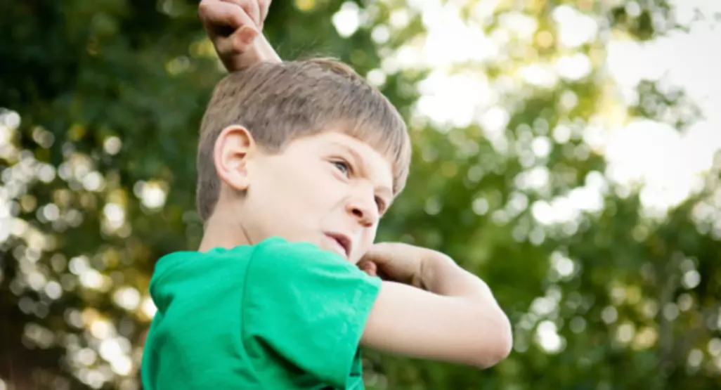 Ira y comportamiento agresivo en los niños